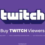 Buy Twitch Viewers