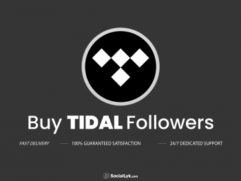 Buy Tidal Followers