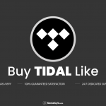 Buy Tidal Premium Song Likes